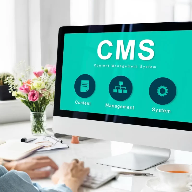CMS for Web Development